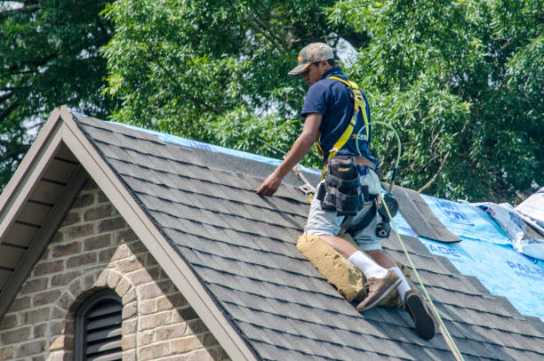Roof Gutter Cleaning in Emerald Lake Hills, CA
